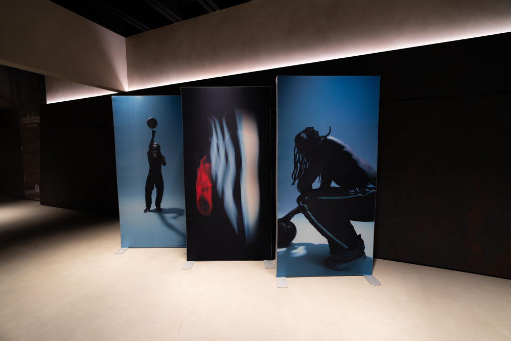 adidas FOG II Basketball D Rose event